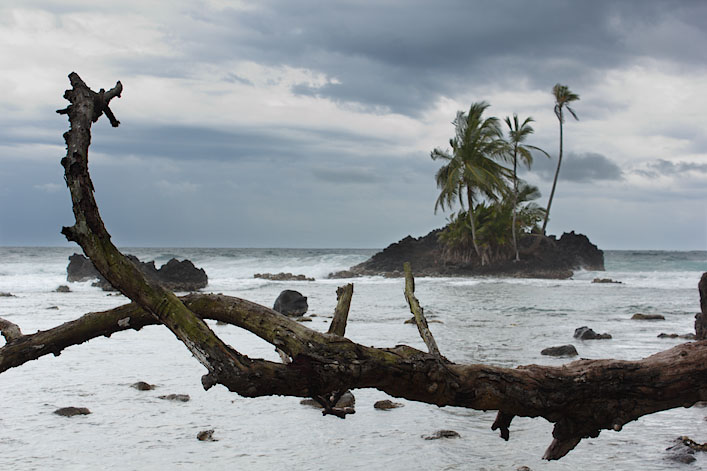 Island of Few Trees
